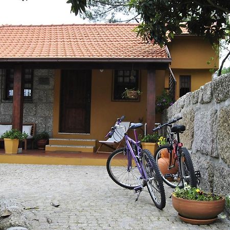 Leiras Do Seixo - Casa Dos Tinos Villa Amarante Bagian luar foto